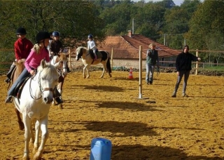  Lezioni di equitazione in campagna 